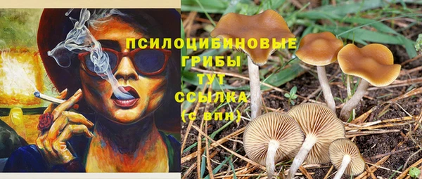 соль курить ск Алзамай