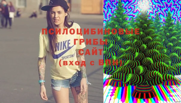 соль курить ск Алзамай