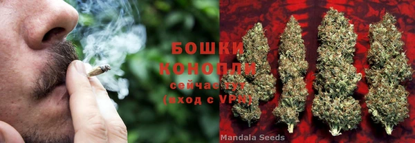 наркотики Новозыбков