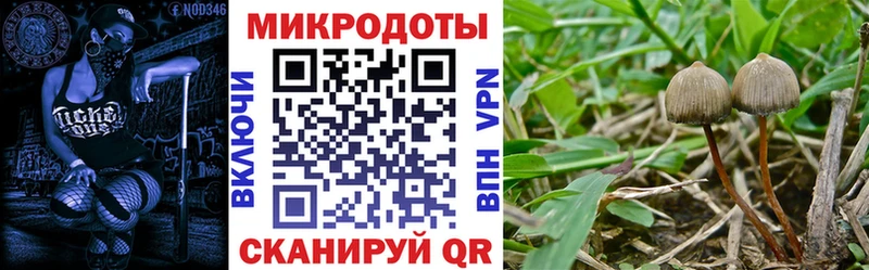 OMG как войти  купить   Навашино  Галлюциногенные грибы Magic Shrooms 